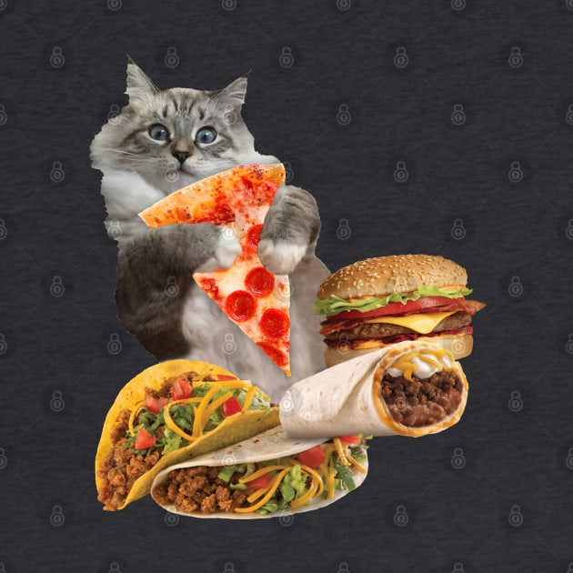 Taco Pizza Burrito Burger Cat by KIMYKASK